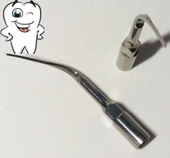 Нов 5 бр./лот, Ултразвукова Стоматологичен Скалер, Уши P3 с EMS/КЪЛВАЧА, който е Съвместим, Идеално Избелване на зъбите, Стоматологични Инструменти