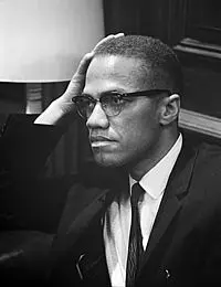 Шапка Malcolm X най-Новата черна Неструктурированная бейзболна Шапка Малкълм, Шапка за Татко, Всички Средства, Нова Увековечивающая Шапка, мъжки и Дамски бейзболна шапка