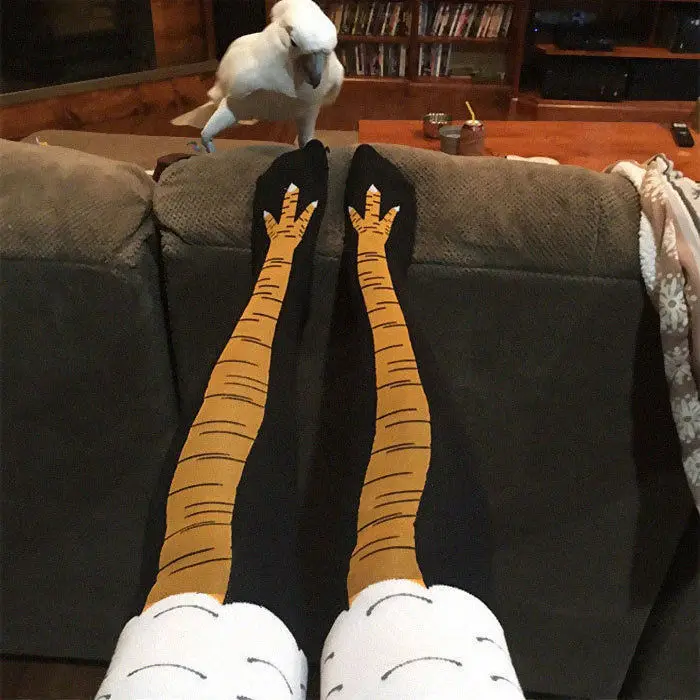 Забавни чорапи с пиле Крака, Женски Забавни Чорапи с пиле Крака, чорапи над коляното, фини Аксесоари за Хелоуин Изображение 5